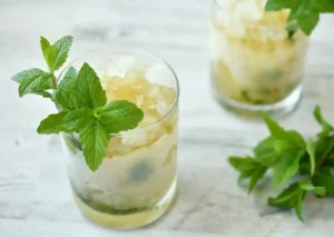 Cocktail Mint Julep